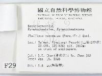 登錄號:F0002966藏品圖，第3張