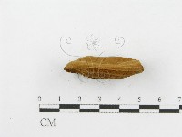 登錄號:F0002966藏品圖，第5張