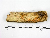 登錄號:F0002967藏品圖，第1張