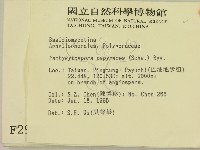 登錄號:F0002968藏品圖，第2張