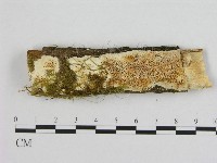 登錄號:F0002968藏品圖，第1張