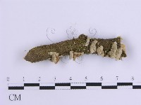 登錄號:F0002970藏品圖，第1張