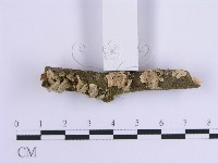 登錄號:F0002970藏品圖，第3張