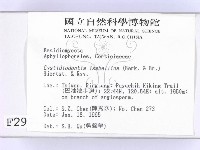 登錄號:F0002972藏品圖，第2張