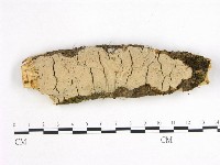 登錄號:F0002972藏品圖，第1張