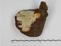 登錄號:F0002973藏品圖，第3張