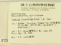 登錄號:F0002974藏品圖，第2張