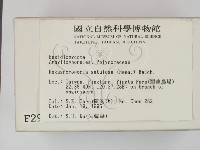 登錄號:F0002975藏品圖，第2張