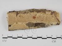 登錄號:F0002975藏品圖，第1張