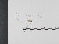 登錄號:F0002978藏品圖，第1張