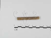 登錄號:F0002979藏品圖，第3張