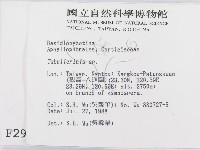 登錄號:F0002980藏品圖，第2張