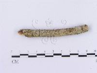 登錄號:F0002980藏品圖，第3張