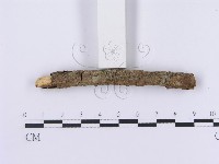 登錄號:F0002980藏品圖，第5張