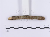 登錄號:F0002980藏品圖，第6張