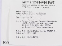 登錄號:F0002981藏品圖，第2張