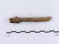 登錄號:F0002981藏品圖，第3張