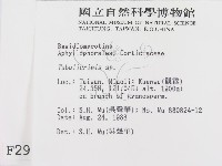 登錄號:F0002982藏品圖，第2張