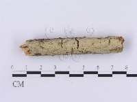 登錄號:F0002982藏品圖，第1張