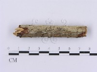 登錄號:F0002982藏品圖，第3張