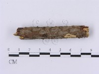 登錄號:F0002982藏品圖，第4張