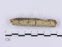 登錄號:F0002982藏品圖，第5張