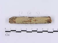 登錄號:F0002983藏品圖，第1張