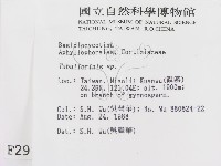 登錄號:F0002984藏品圖，第2張