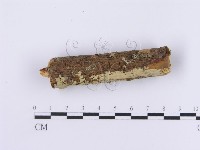 登錄號:F0002984藏品圖，第4張