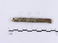 登錄號:F0002985藏品圖，第4張