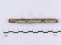 登錄號:F0002986藏品圖，第4張