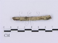 登錄號:F0002987藏品圖，第1張