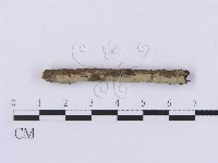 登錄號:F0002987藏品圖，第3張