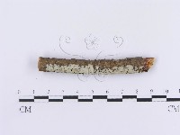 登錄號:F0002988藏品圖，第1張