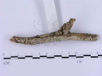 登錄號:F0002989藏品圖，第3張