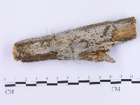 登錄號:F0002990藏品圖，第1張