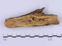 登錄號:F0002990藏品圖，第5張