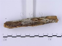 登錄號:F0002990藏品圖，第6張