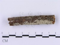 登錄號:F0002991藏品圖，第3張