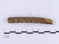 登錄號:F0002992藏品圖，第3張