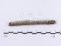 登錄號:F0002993藏品圖，第5張