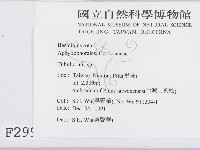 登錄號:F0002994藏品圖，第2張