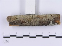 登錄號:F0002994藏品圖，第5張
