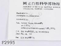 登錄號:F0002995藏品圖，第2張