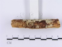 登錄號:F0002995藏品圖，第5張