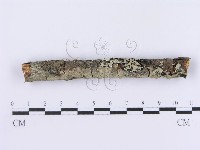 登錄號:F0002996藏品圖，第1張