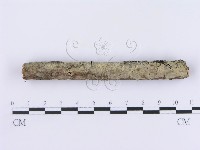 登錄號:F0002996藏品圖，第3張