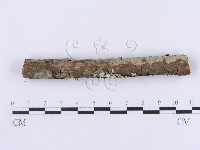 登錄號:F0002996藏品圖，第4張