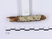 登錄號:F0002997藏品圖，第3張