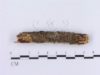 登錄號:F0002997藏品圖，第4張